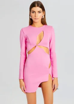 Clearance Ariel Long Sleeve Mini Dress Mini