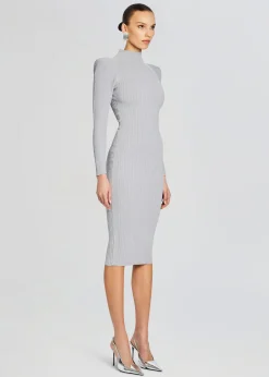 Fashion Aylin Rib Knit Dress Midi