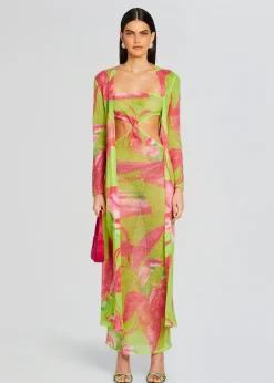 Clearance Fontelina Knit Dress Spring Knits