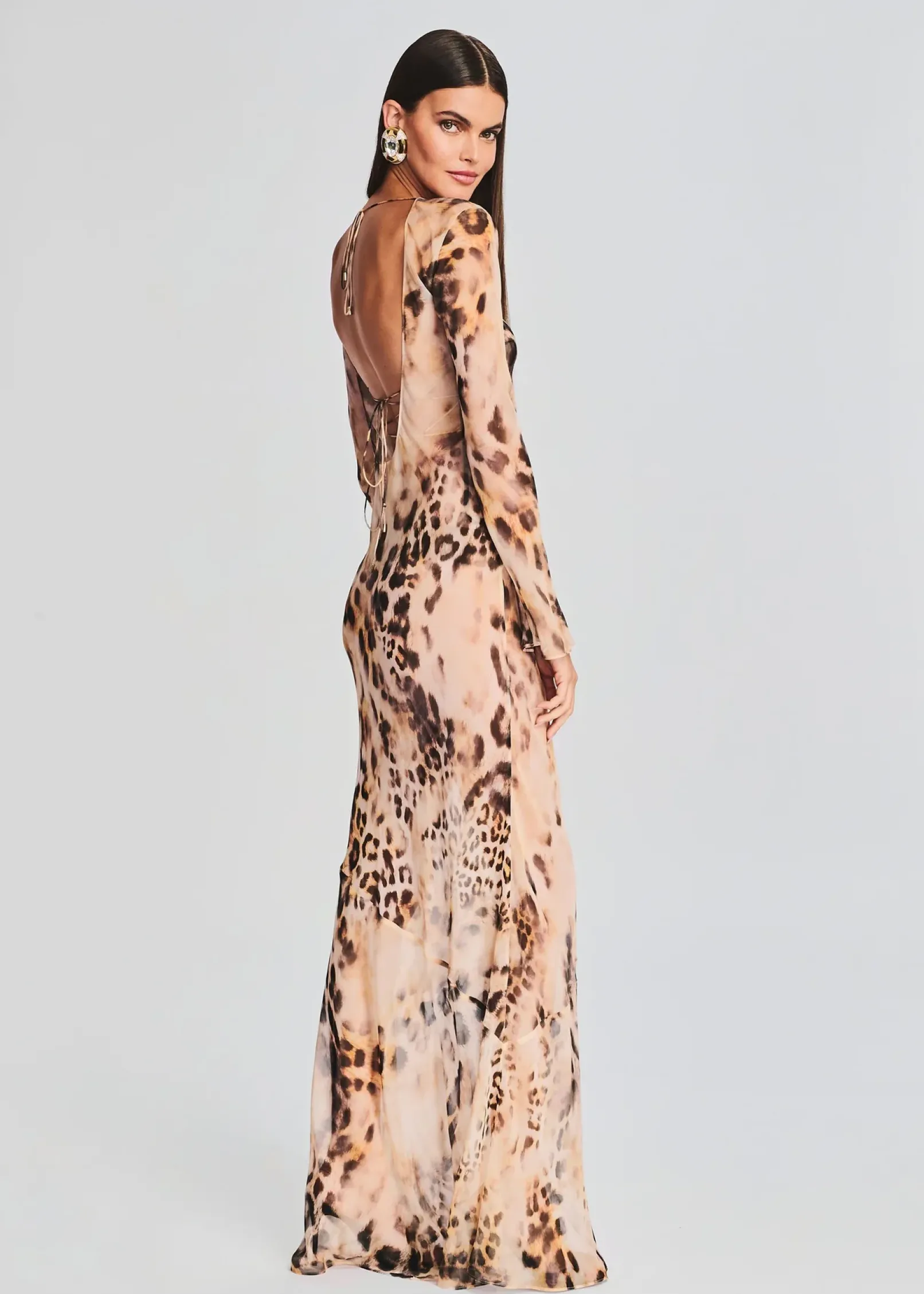 Online Vienna Silk Dress Sheer Bliss