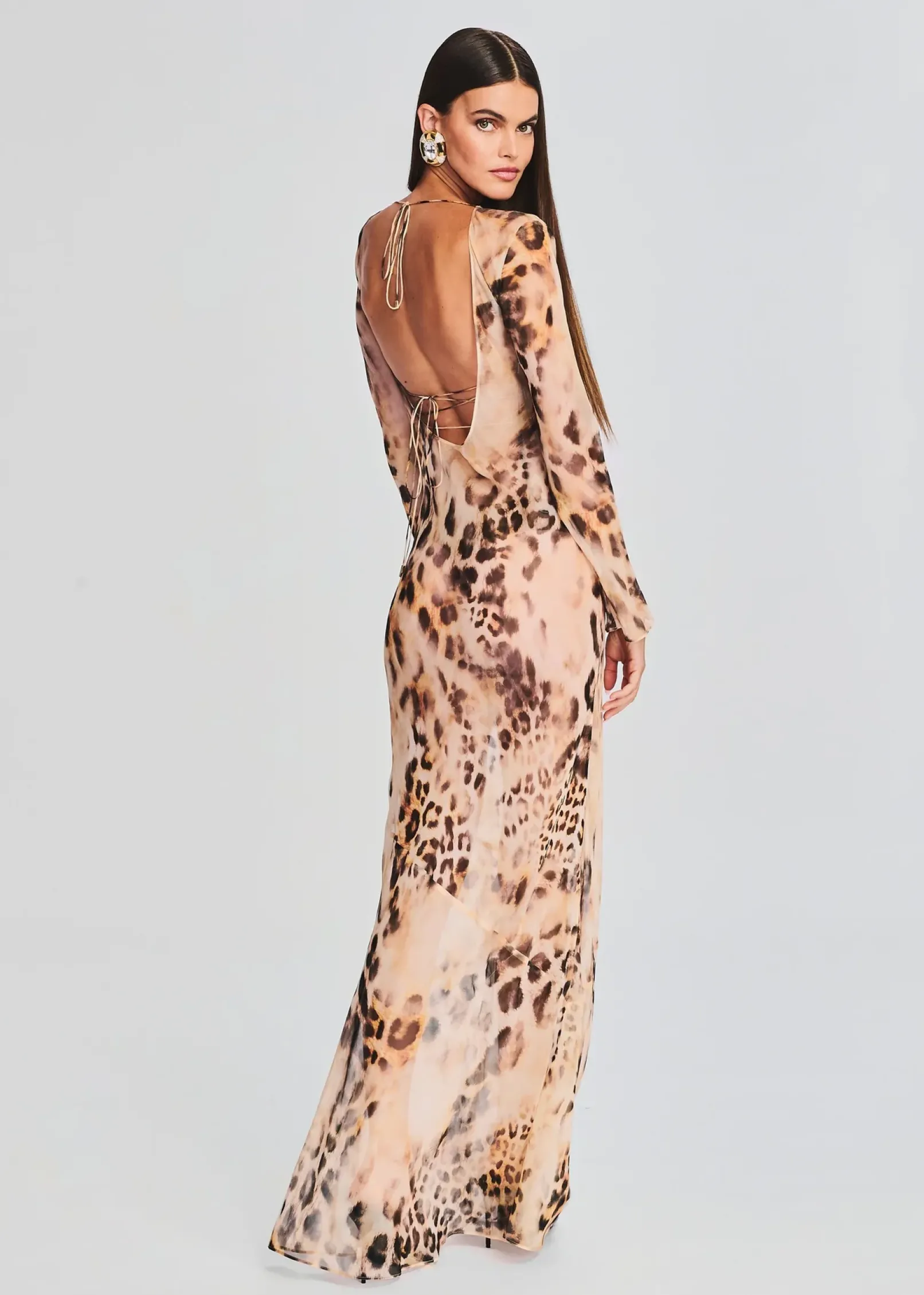Online Vienna Silk Dress Sheer Bliss